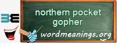 WordMeaning blackboard for northern pocket gopher